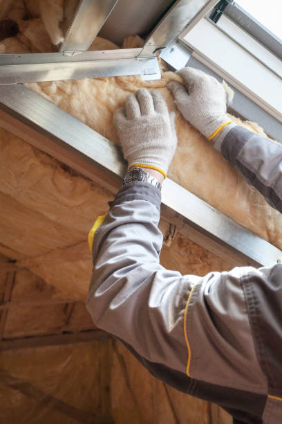 Best Commercial Insulation in Laupahoehoe, HI
