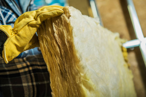 Best Eco-Friendly Insulation in Laupahoehoe, HI